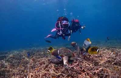 Amazing Phuket Adventures - 2 dives Racha Yai and Noi large