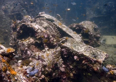 Amazing Phuket Adventures - Diving Sites King Cruiser 08