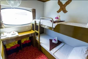 Amazing Phuket Adventures - Liveaboards Pawara - Deluxe Twin