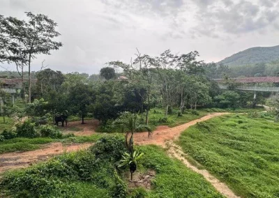 Elephant phuket sanctuary APA 9